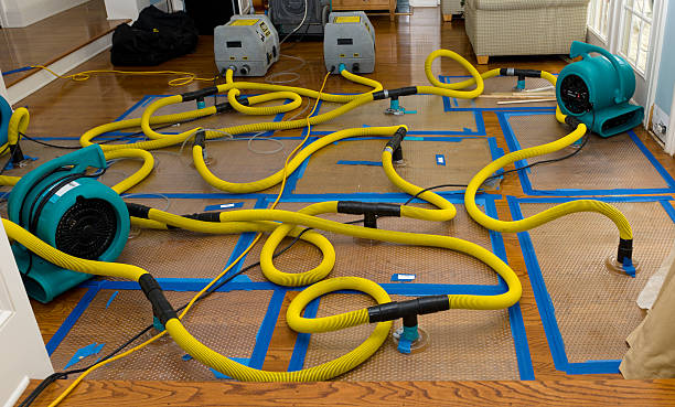 Professional Structural Drying And Dehumidification technician working in Woodlake, CA